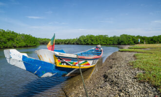 Colorful,Wooden,Boat,Or,Pirouge,Moored,In,Mangrove,Forest,Of