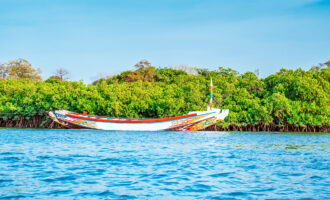 African,Boat,On,The,River,Bank,Near,The,Mangrove,Forest,