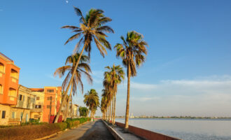 Coastal,Street,With,High,Palm,Trees,During,Sunset,In,Saint-louis,