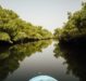 Le Delta du Saloum : une immersion entre nature et culture.