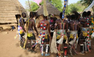 culture bassari