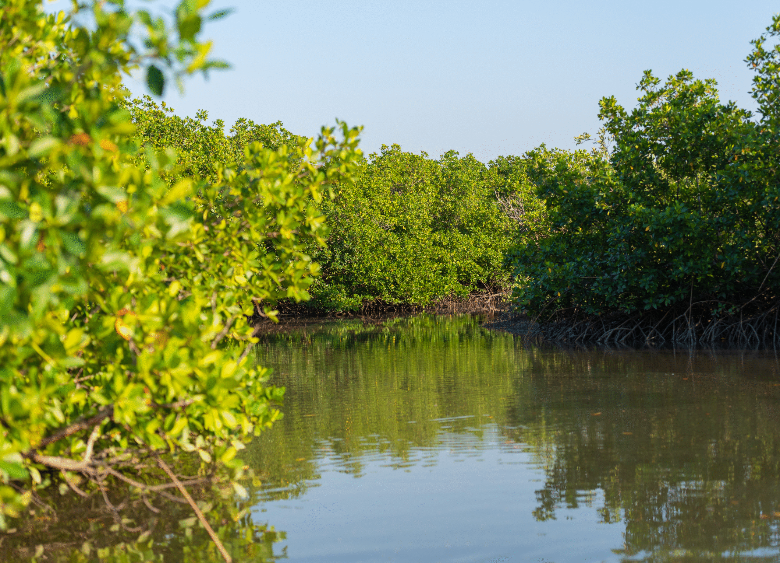 Casamance