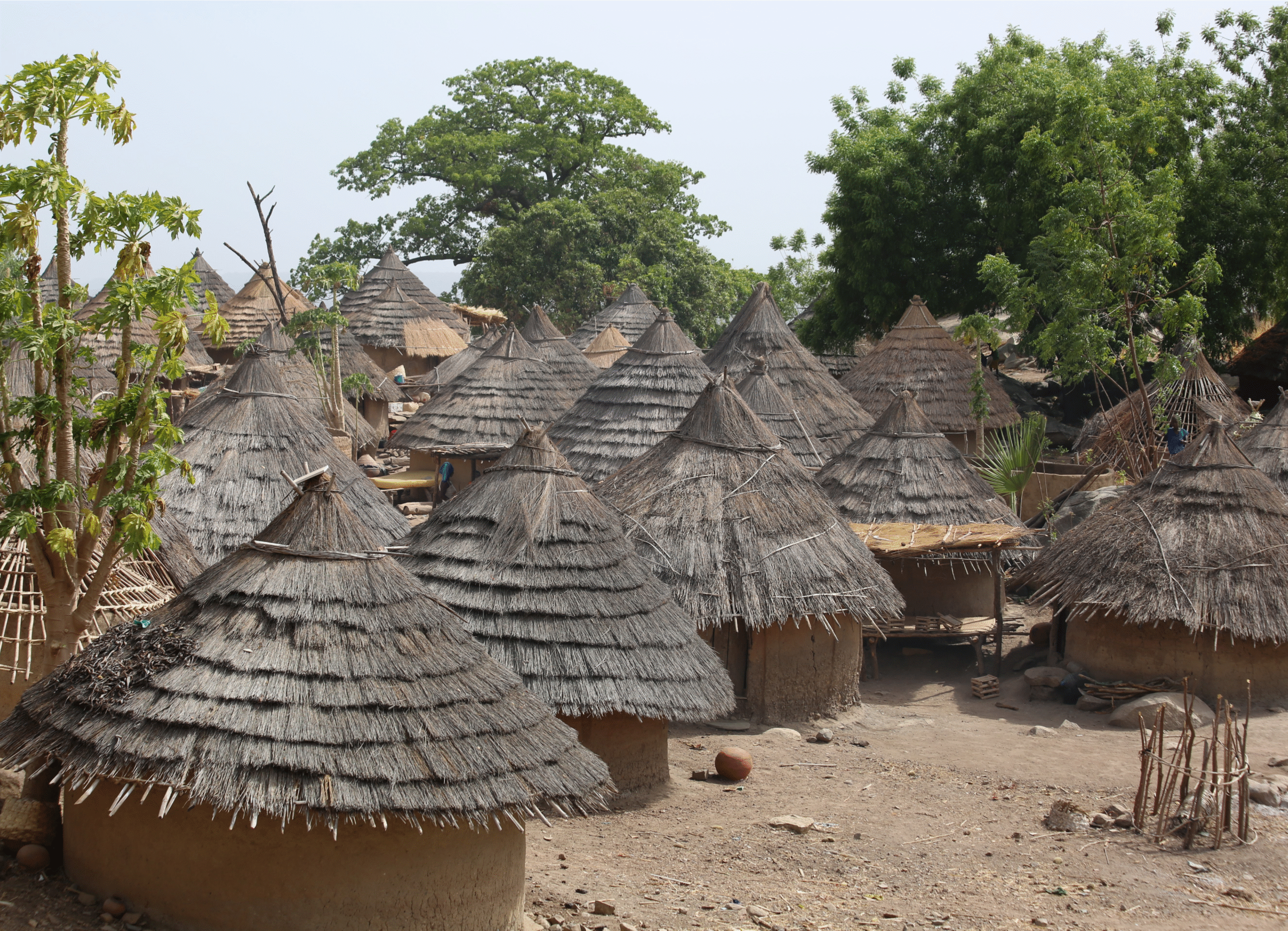 Pays Bassari